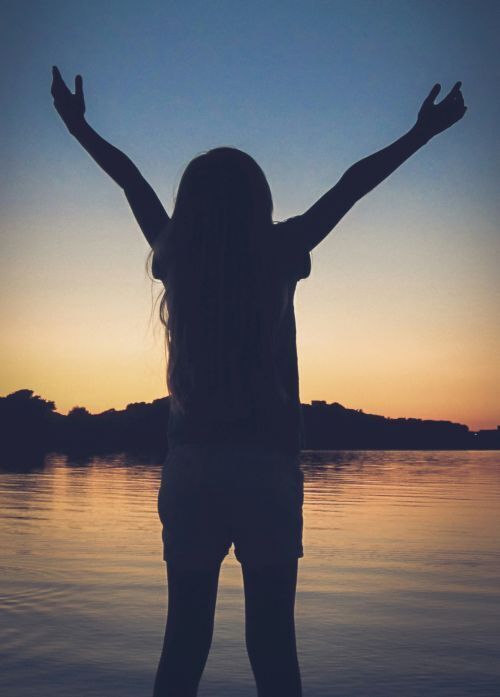 Header Image for Weekly Update