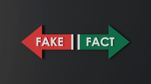 Header Image for Weekly Update - February 25